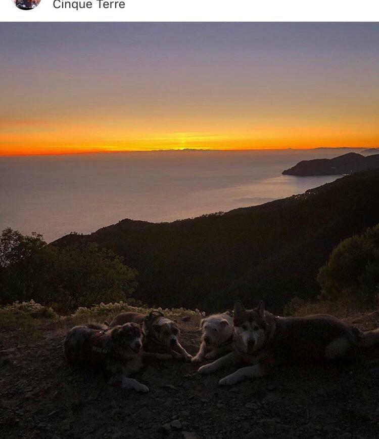 La Casa Di Zahra Daire Riccò del Golfo di Spezia Dış mekan fotoğraf